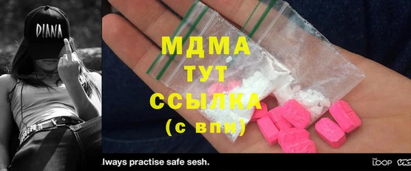 гидра Щигры